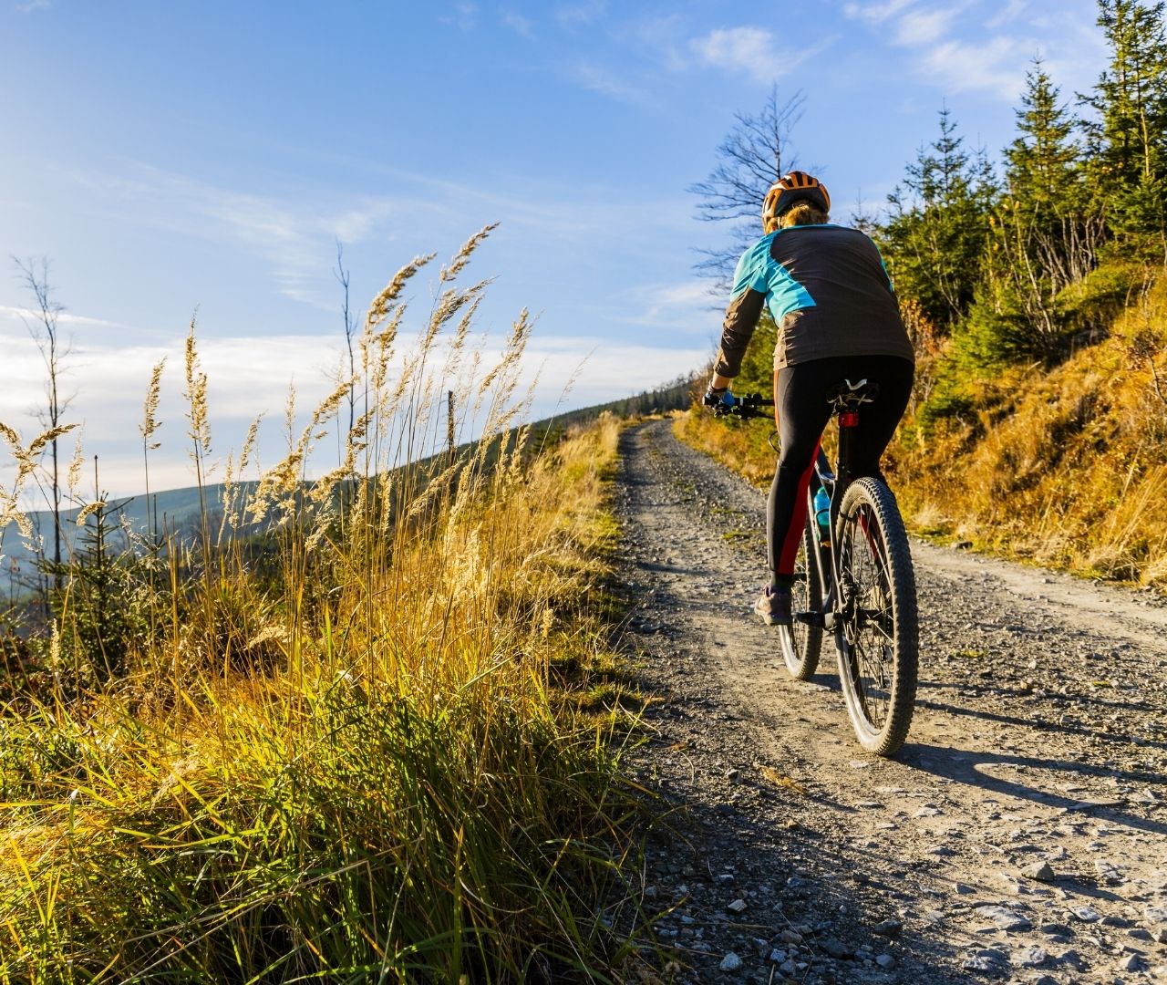 Someone cycling along a country road, with the sun shinging