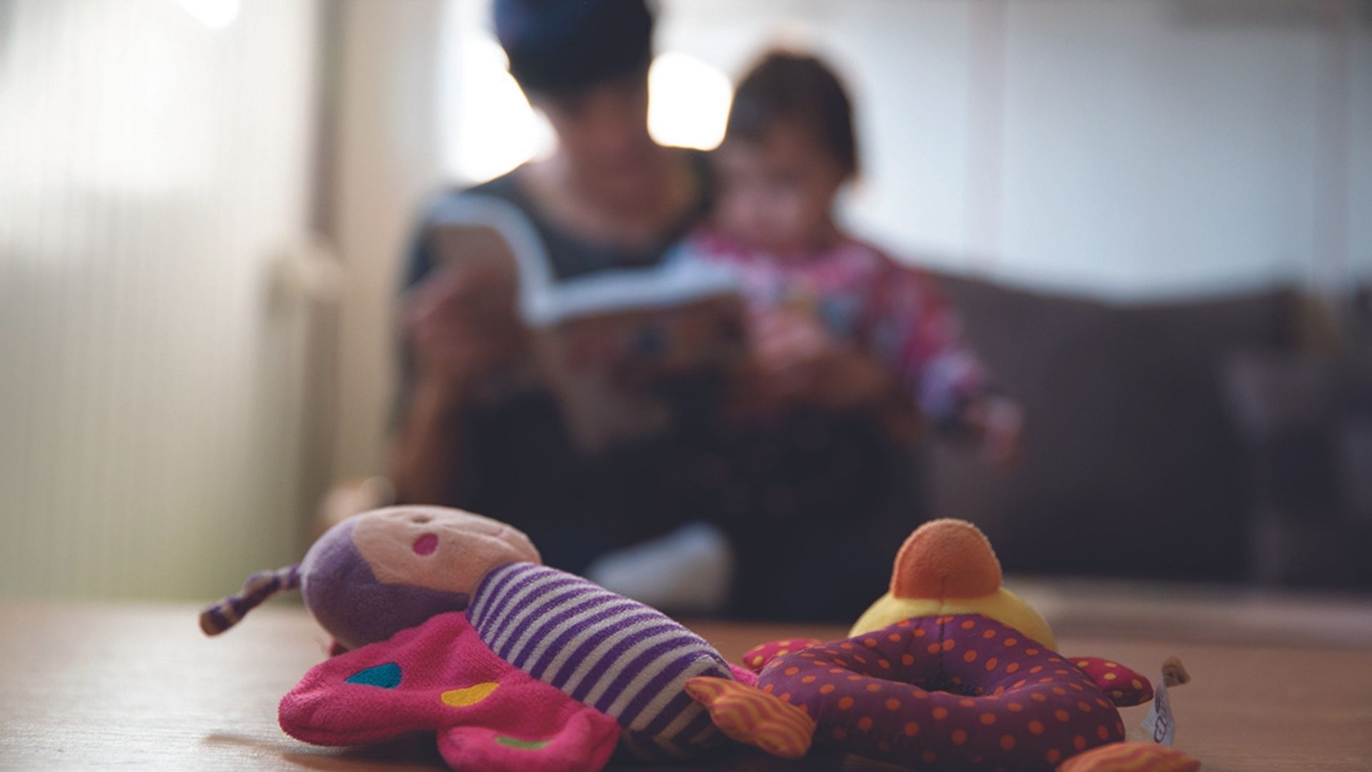 A mother reads to her young daughter who sits on her lap, two toys sit in the foreground
