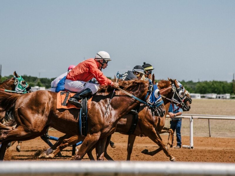 Horse race for a fundraiser