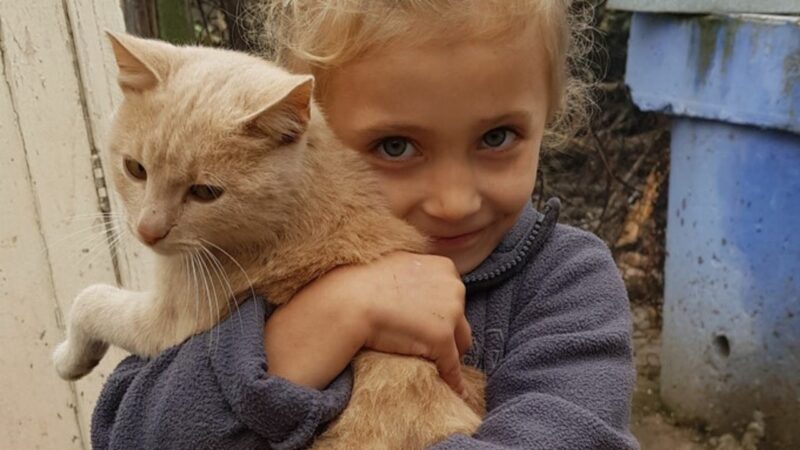 Violeta, a Moldovan child we have worked with in our programmes alongside CCF Moldova, with her cat