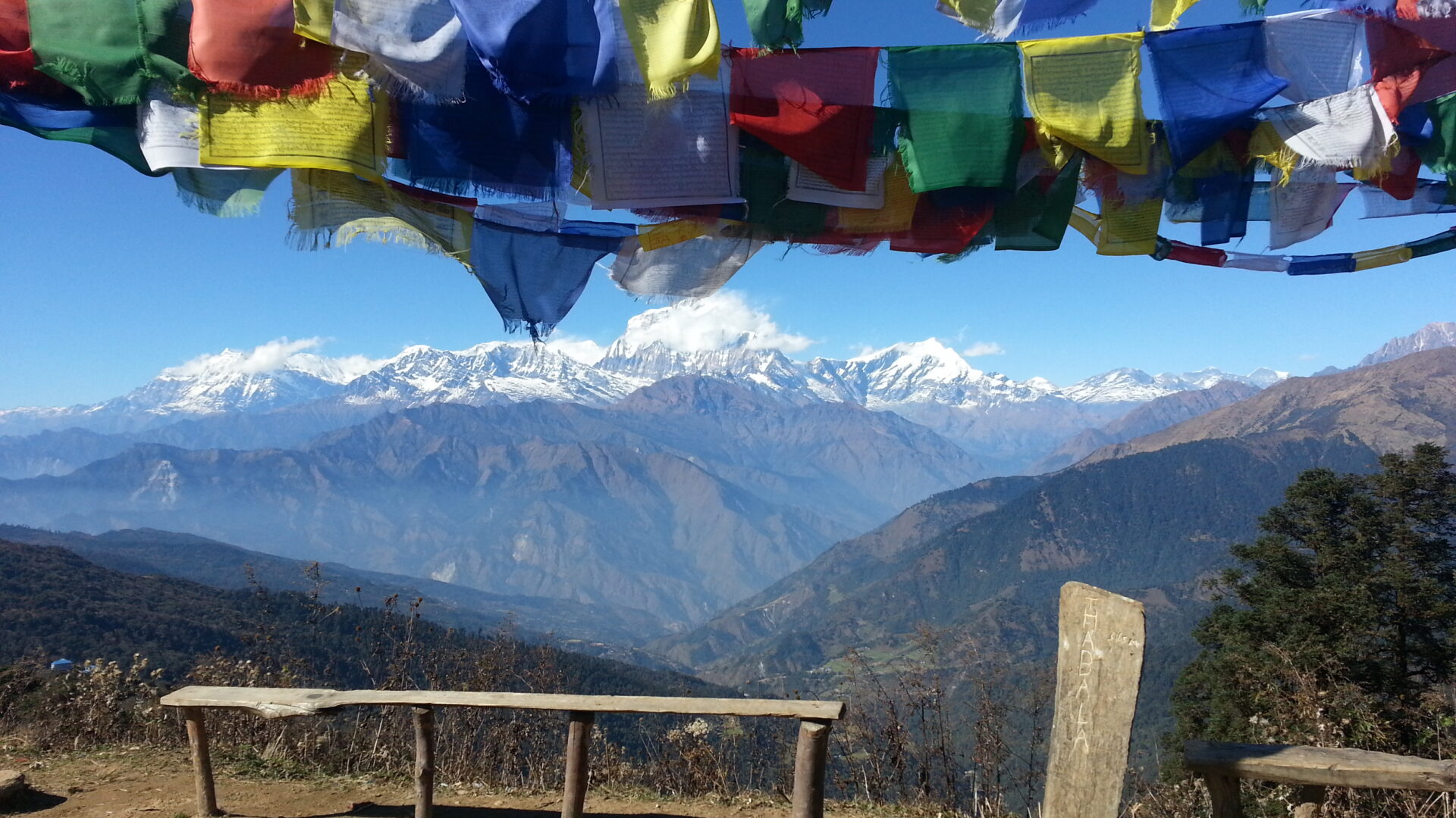 Bright red green blue and yellow Tibetan flags flying in front of a snowy mountain peak