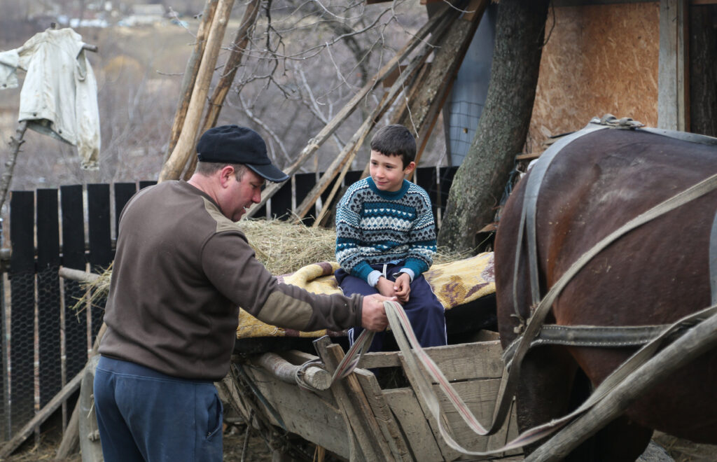 Nelu helping his uncle as he prepares his horse and cart to go to work