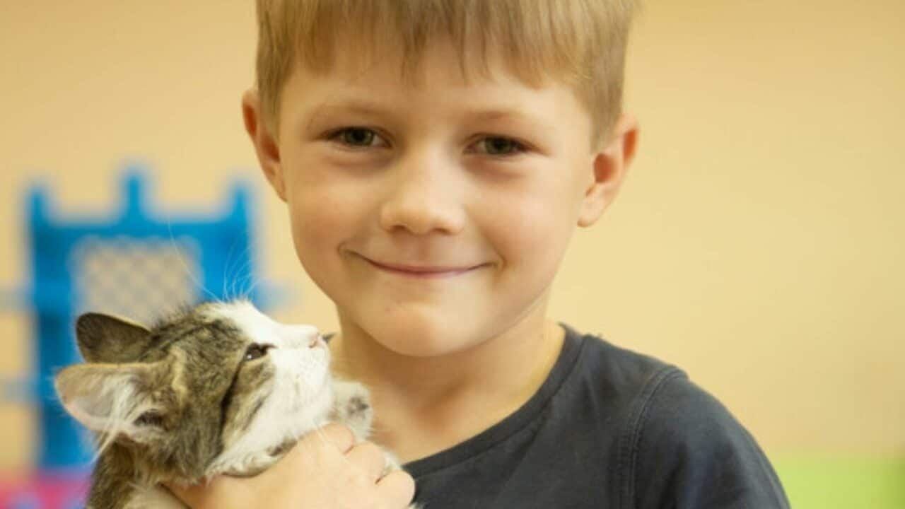Ivan and his cat